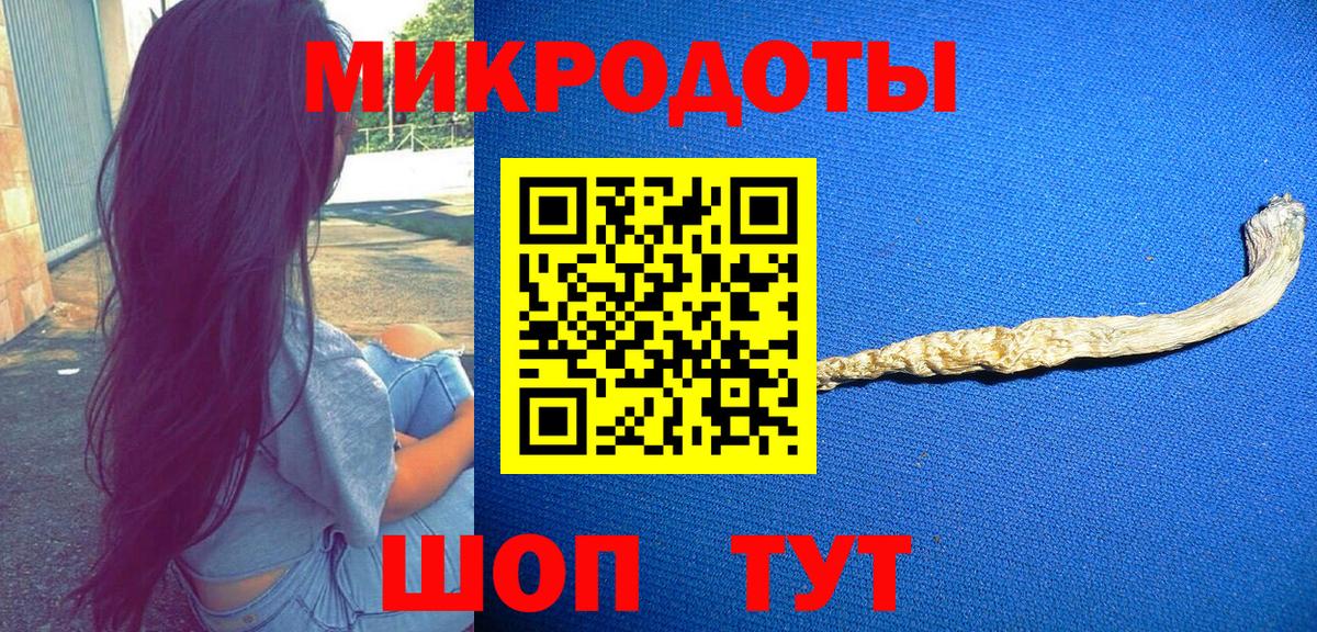 Галлюциногенные грибы Psilocybine cubensis Знаменск
