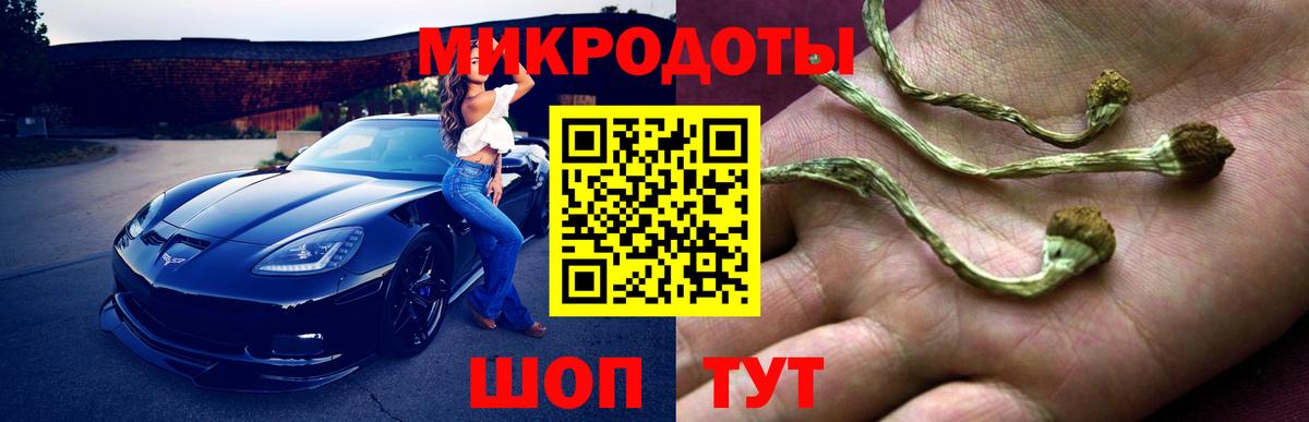 Знаменск  Псилоцибиновые грибы прущие грибы  Вход с VPN 